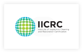 Certified by the IICRC